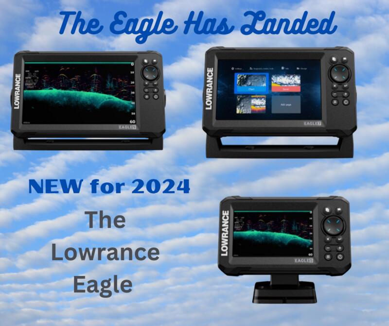 Name:  The Eagle has Landed.jpg
Views: 145
Size:  64.3 KB