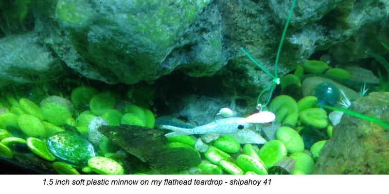 Name:  Flathead teardrop with plastic minnow.jpg
Views: 1002
Size:  53.0 KB
