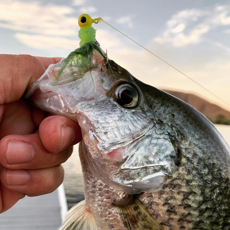 https://www.crappie.com/crappie/attachments/main-crappie-fishing-forum/348094d1561781007-crappies-line-twisted-0c692b7b-ccba-494d-ab35-d28368443422-jpg