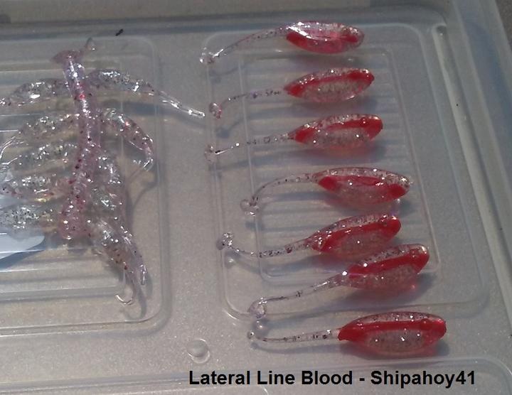 Name:  lateral line blood.jpg
Views: 599
Size:  88.4 KB