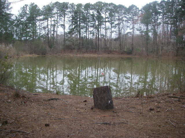 Name:  3-12-17 Bob's Pond.JPG
Views: 635
Size:  135.3 KB