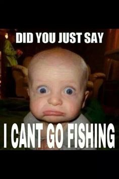 Name:  Did you say I can't go fishing.jpg
Views: 226
Size:  22.1 KB