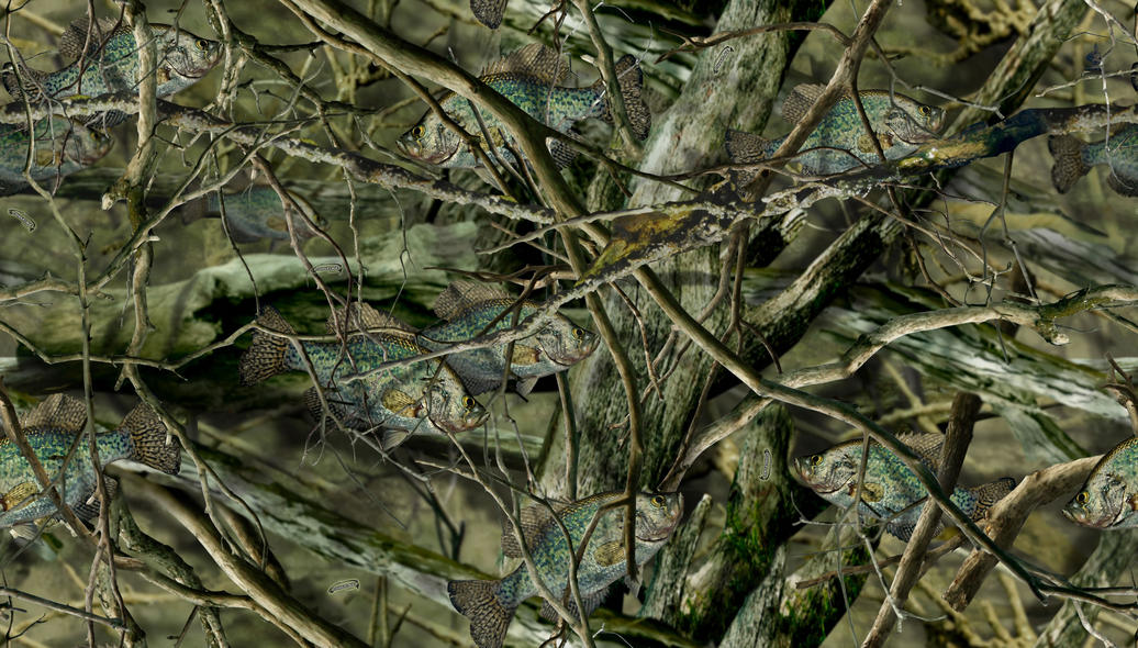 Name:  Fishouflage-Crappie-Desktop-Wallpaper.jpg
Views: 3055
Size:  168.6 KB
